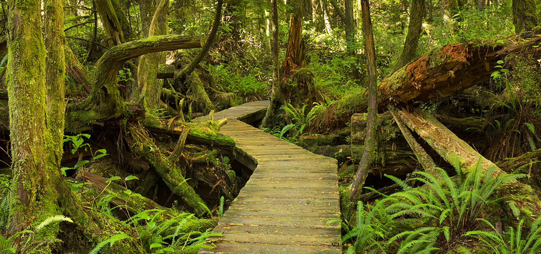 2005-2006-National-Park-Series