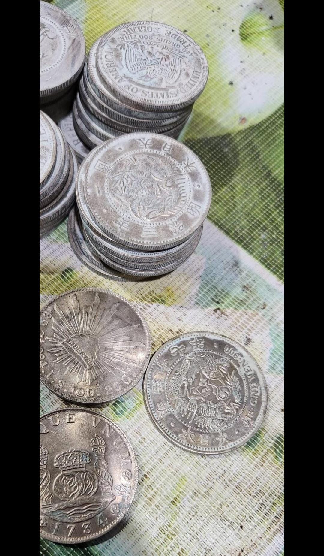 Can-All-This-Coin-Rinse-With-Pure-Water