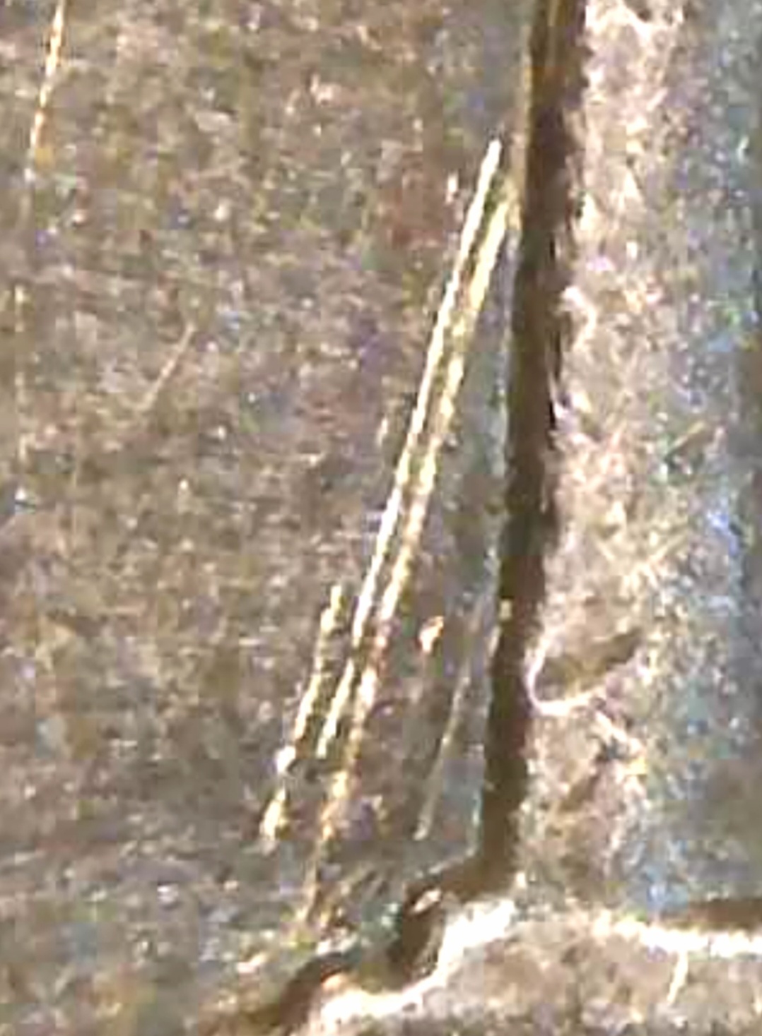 1984-Lincoln-Memorial-Cent-DDR