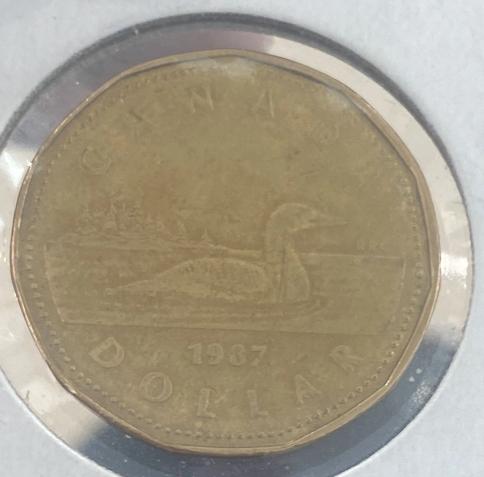 Loon-$-Struck-Through-Round-Washer