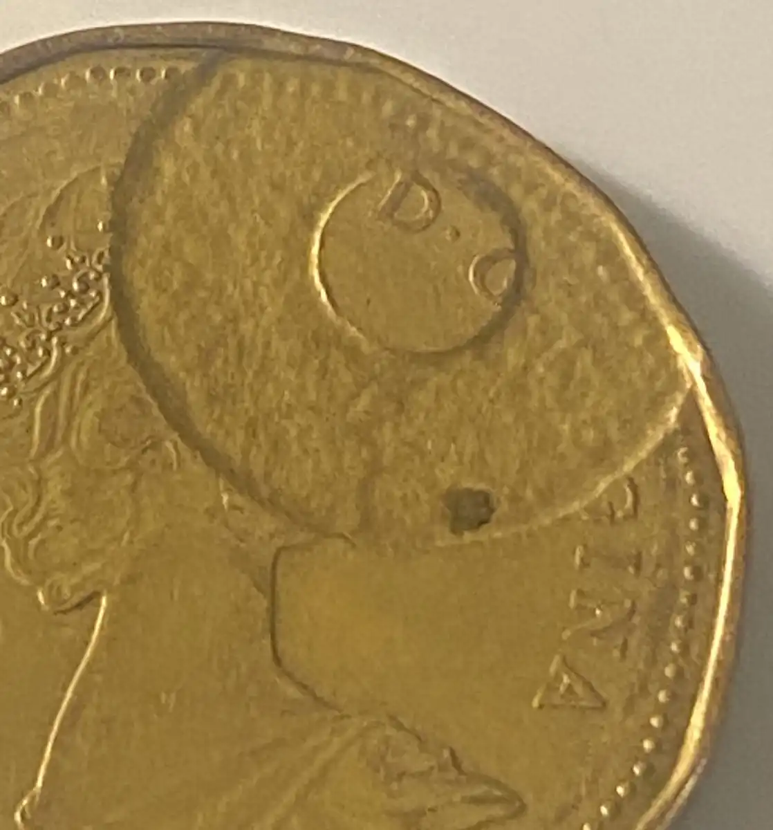 Loon-$-Struck-Through-Round-Washer