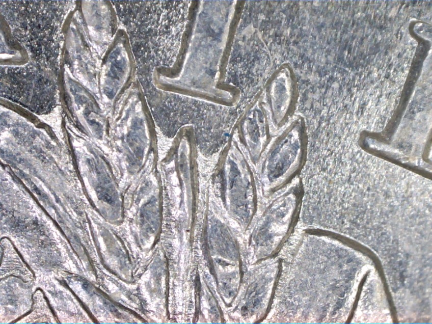 1881-S-Morgan-Dollar-VAM-ID-Help-Needed-Please