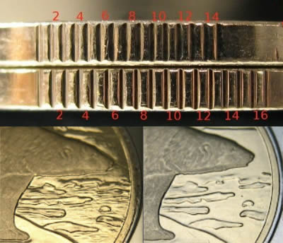 2010 Uncrowned Portrait, RCM Logo Obverse, Polar Bear Reverse Elizabeth II Two Dollar Differences between 14 and 16 serrations, and water lines, no water lines varieties. 2010 Elizabeth II Two Dollar Differences between 14 and 16 serrations, and water lines, no water lines varieties.