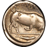 pishpash's Avatar