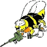 wif99's Avatar