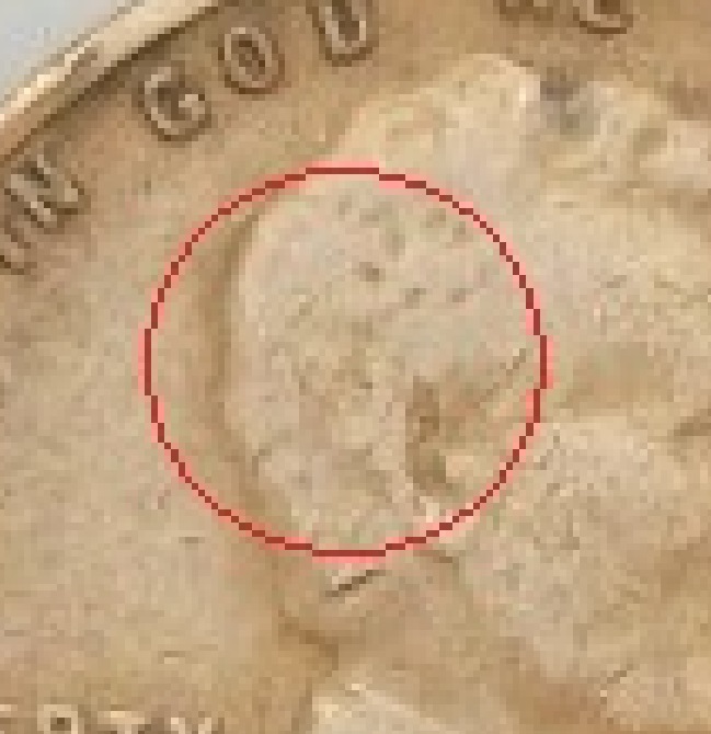 1929-P-LWC-With-Unusual-Circular-Spot-On-Reverse,-Collectible-Or-PMD?