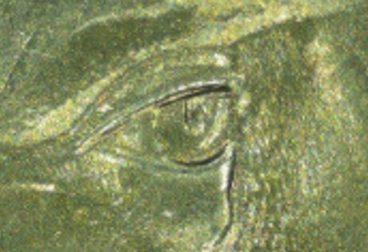 2005-D-Ocean-In-View-Nickel-Is-This-A-Doubled-Eyelid