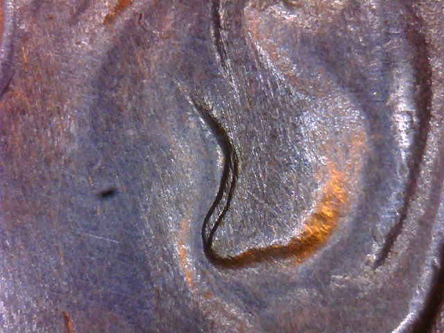 1964-D-Kennedy-Half-With-Some-Notching....common?