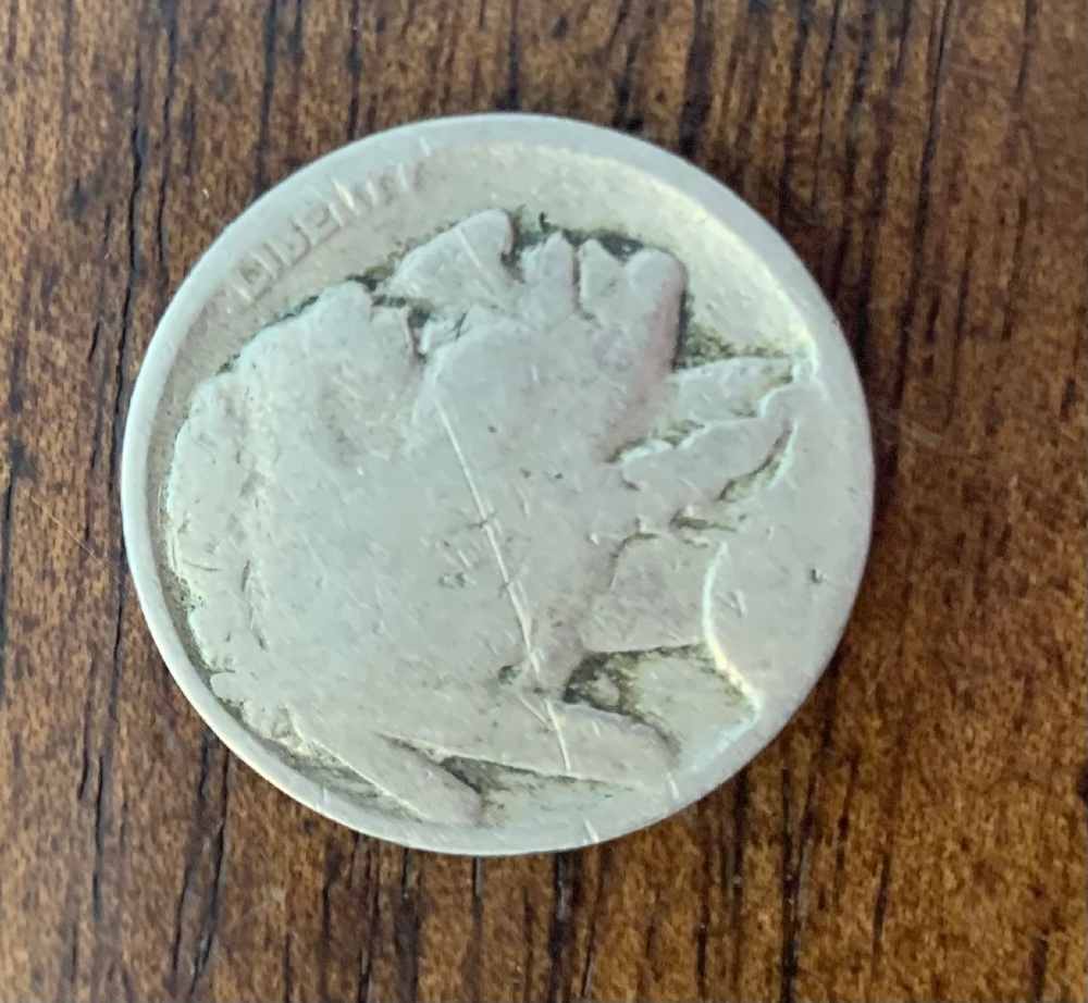 No-Date-Buffalo-Nickel-Reverse-Lamination