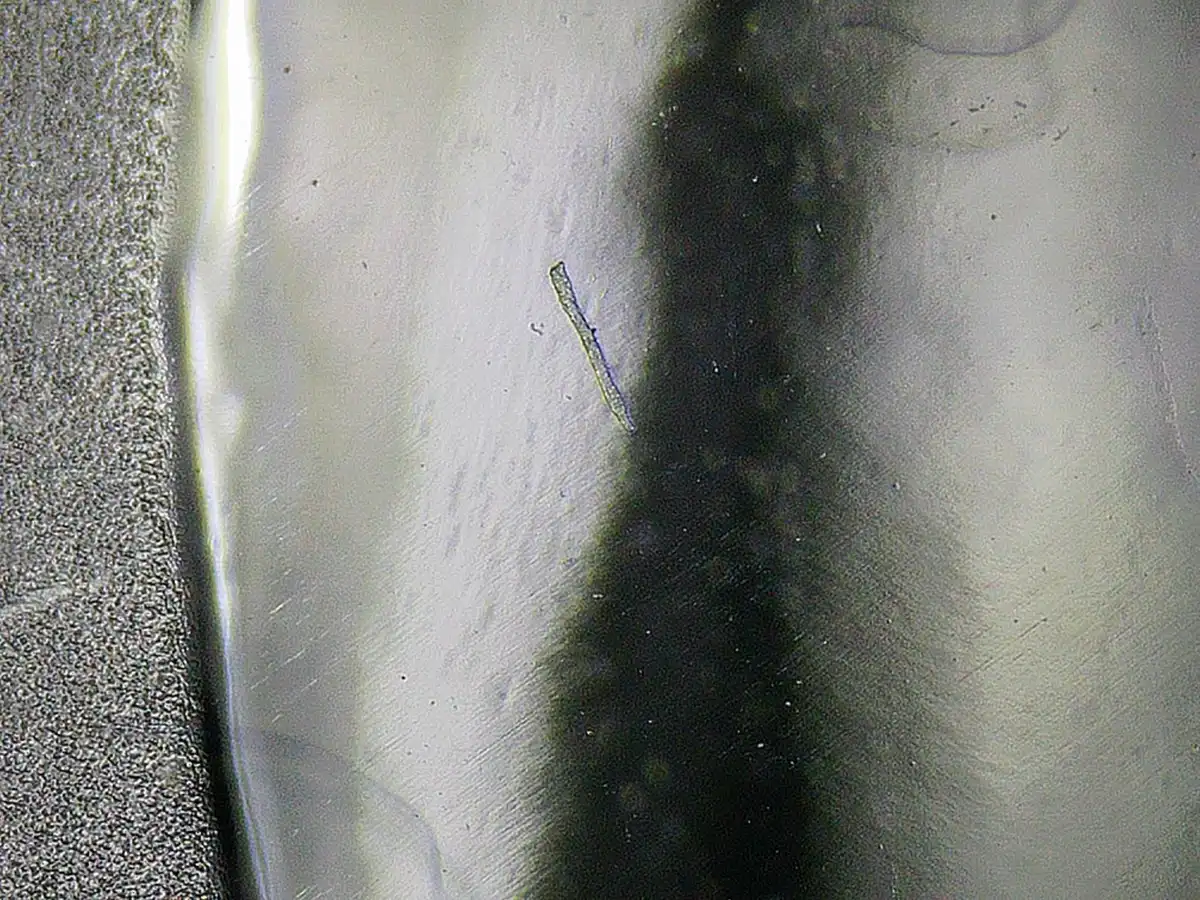 1776-2026-P-Morgan-Dollar-Reverse-Proof---Struck-Through-Multiple-Fibers-&-Weird-White-Area