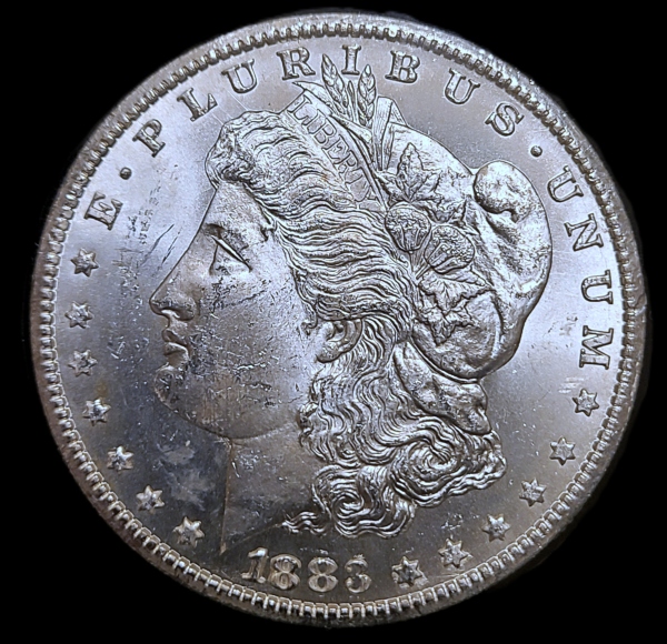 1883-CC-Morgan-From-GSA-Hoard---Need-Grading---Reverse-Is-Beautiful,-Obverse-More-Common.
