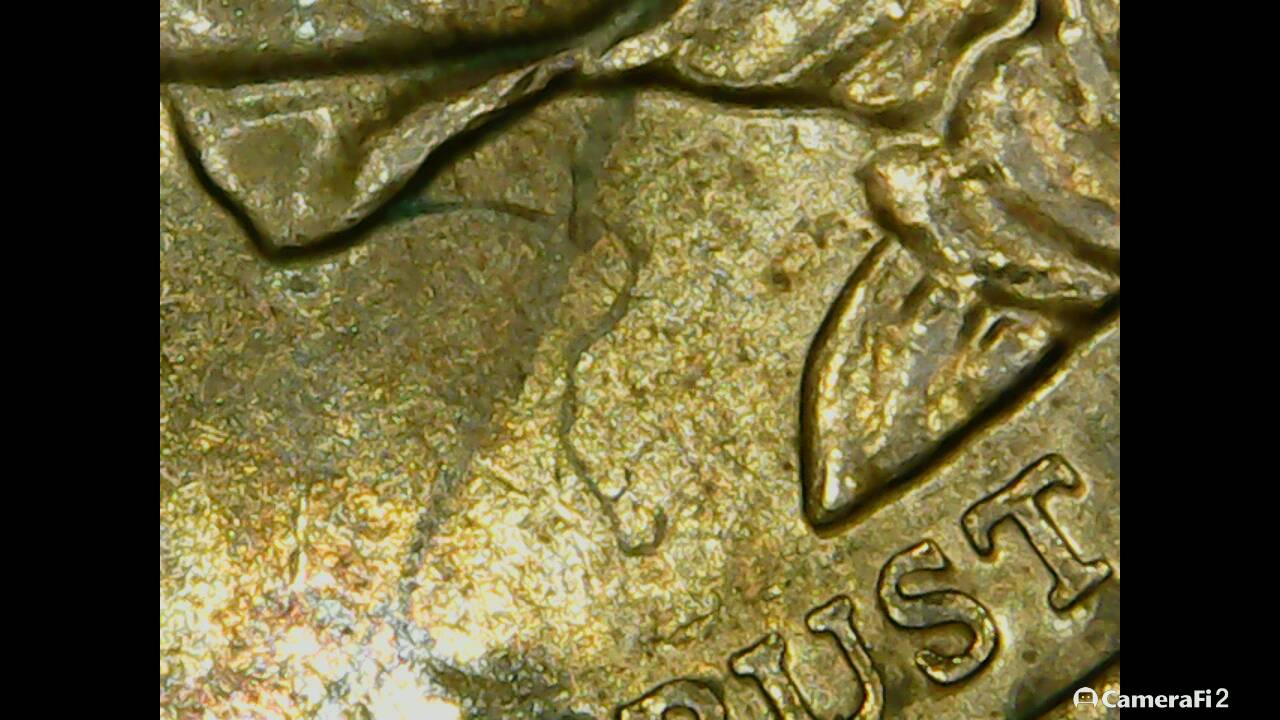 2010-D-Franklin-Pierce-Dollar-Coin-With-Thread-Or-Hair