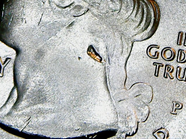 Please-Help-Identify-Type-Of-Error-On-2019-P-Lowell-Quarter