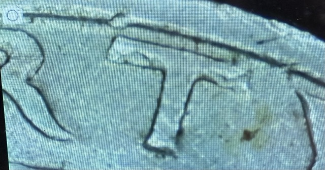 1977-No-Mint-Mark-Quarter--Is-This-Normal?