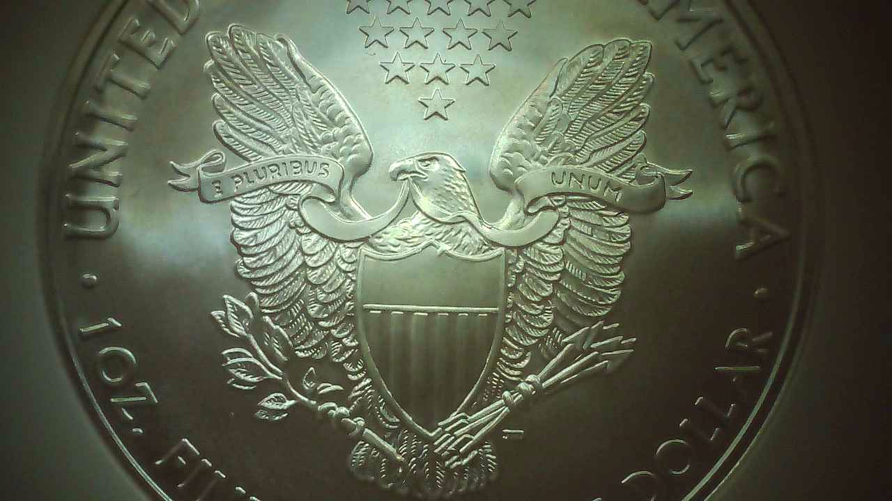 2010-Silver-Eagle-Early-Release-->-Gouge-On-REV-By-Right-Shoulder