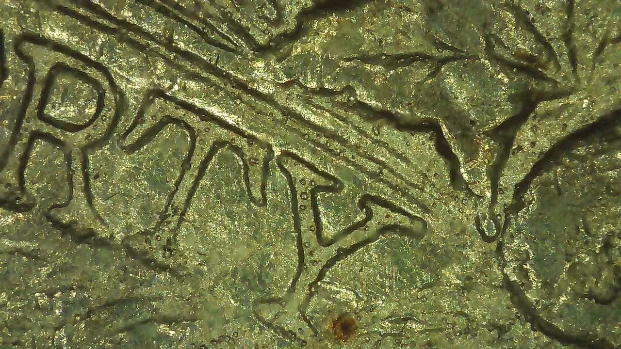 1884-P-VAM-1,-But-Is-It?-OBV-Rusted-Die?