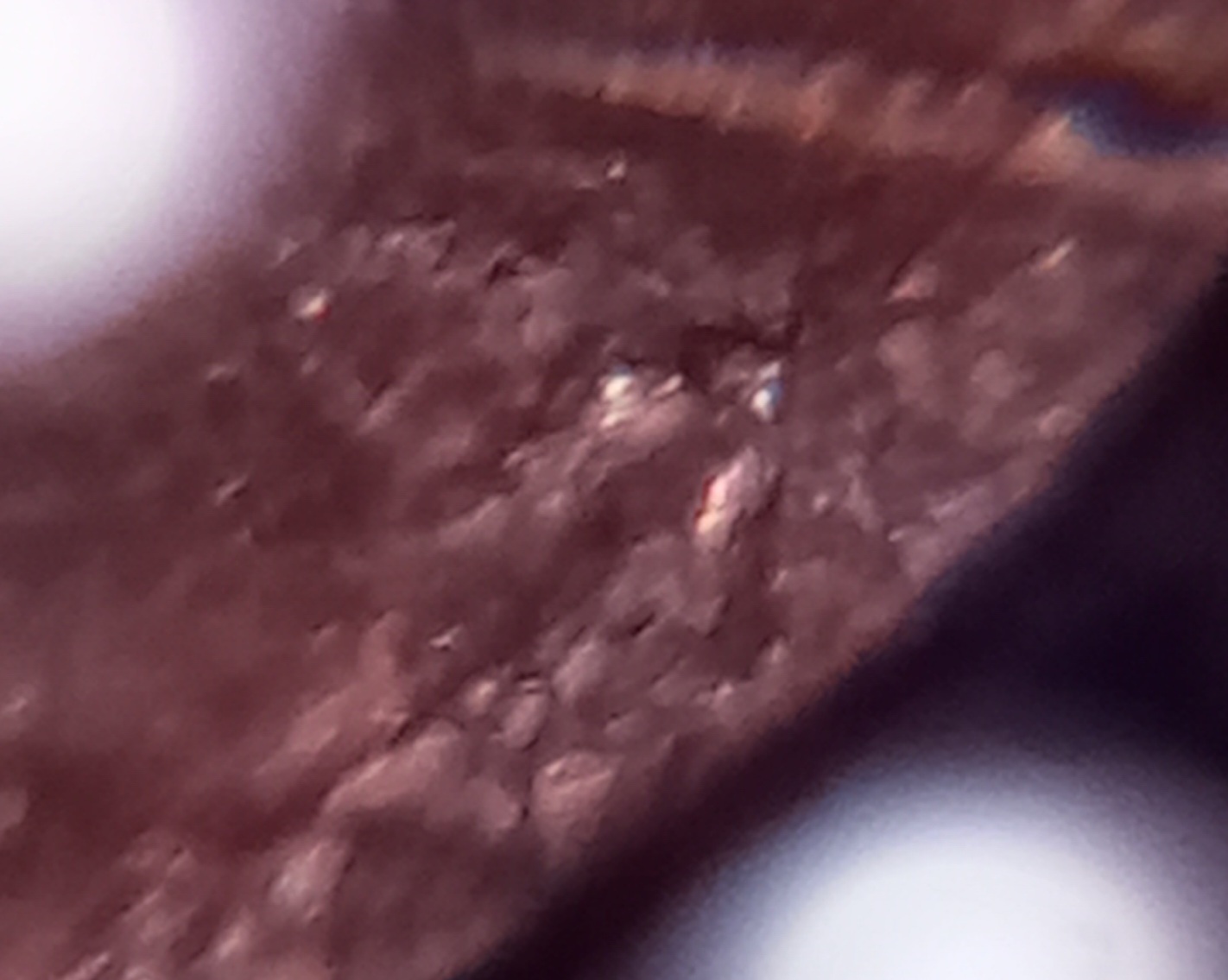 1974-P-1-Cent.-Is-This-Coin-Damaged-By-A-Feeder-Finger,-Or-Post-Mint?-Is-It-A-Denver-Minted-Coin?