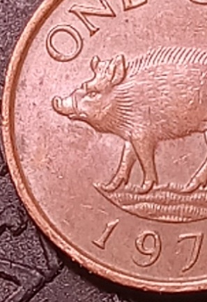Name-That-Coin.--Daily-Coin-Snippet.