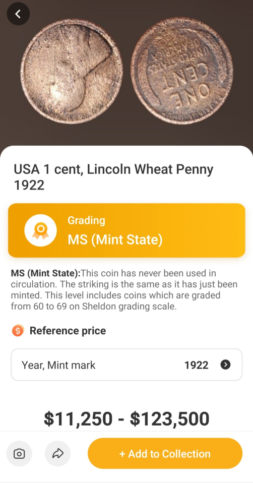Beware-Of-Coinsnap-App-Coin-Grading-Feature