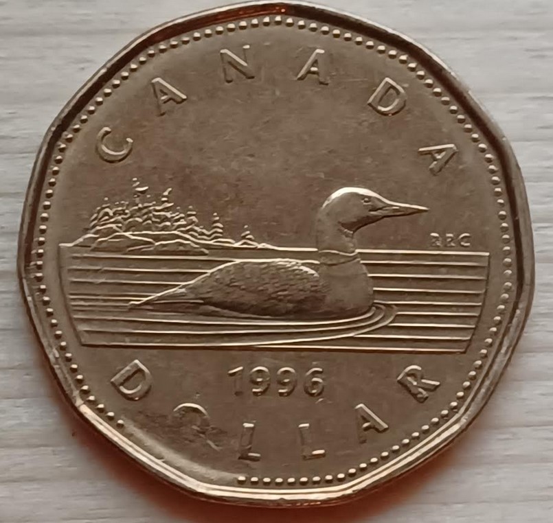 Possible-Struck-Through-Error-Loonie