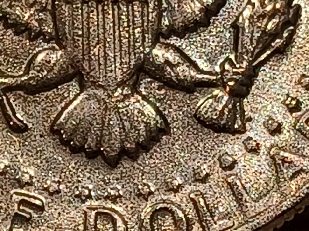 1972-D-Half-Dollar,-No-FG-Question.