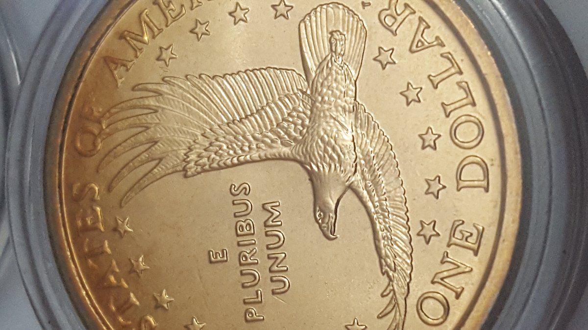 Coin-Roll-Jackpot-Wounded-Eagles