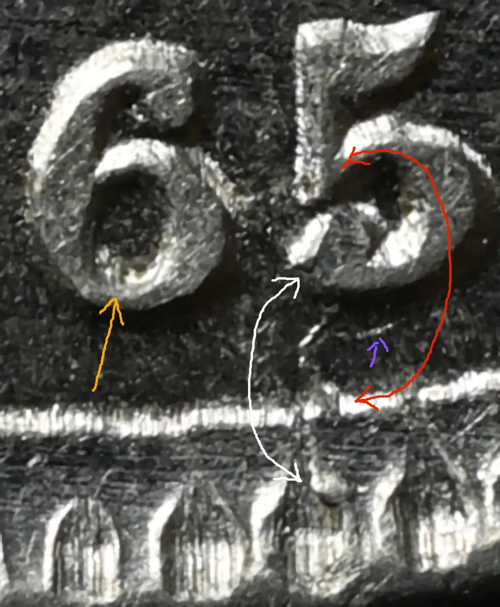 1865-3CN-'Date-In-Denticles'-Or-Cud-In-Crack?