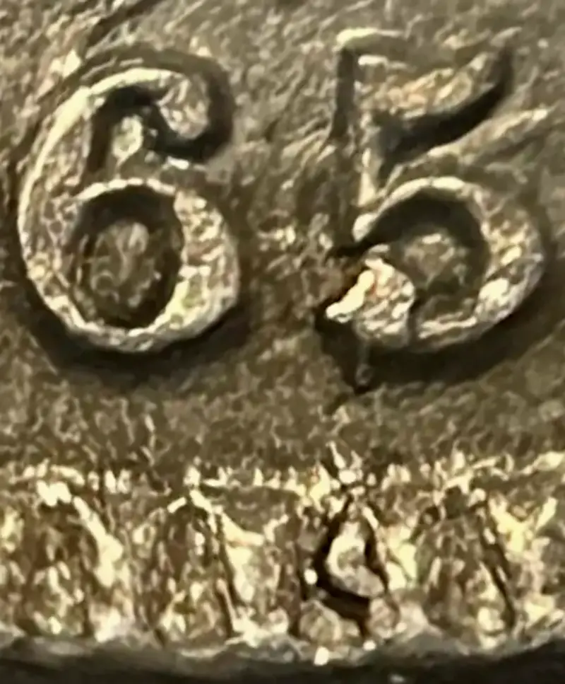 1865-3CN-'Date-In-Denticles'-Or-Cud-In-Crack?