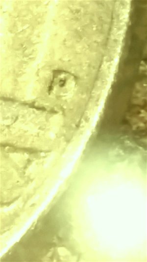 1953-Jefferson-Nickle.--Any-Value?
