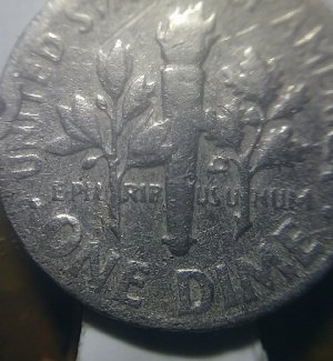 196?-Rosvelt-Dome.-What-Kind-Of-Error?