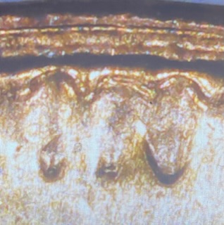 1982-Lincoln-Penny--DDO-/-DDR-Or-Tdo/Tdr?-Need-Help