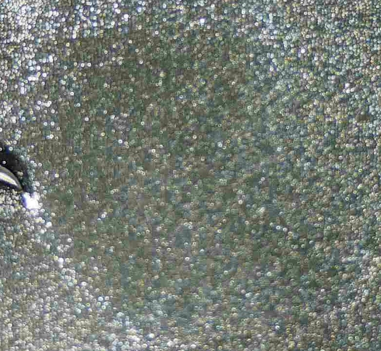 Always-Immediately-Check-Your-US-Mint-Coins-When-You-Get-Them.