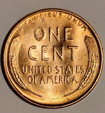 1951-Wheat-Penny-Caught-In-The-Wild