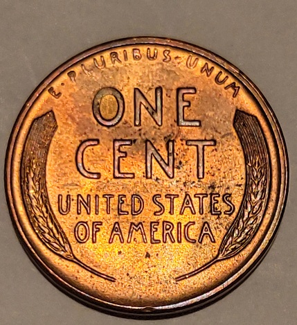 1955-S-Wheat-Penny-Not-DDO