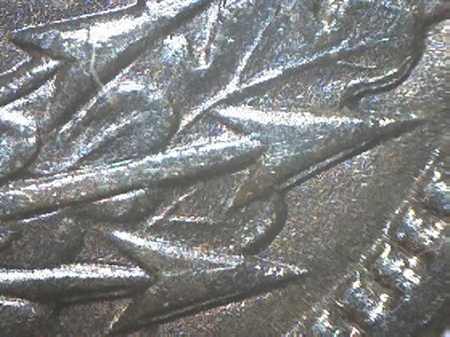 1891-Indian-Head-Cent--DDR-?