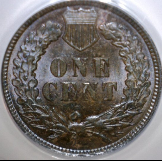 1891-Indian-Head-Cent--DDR-?