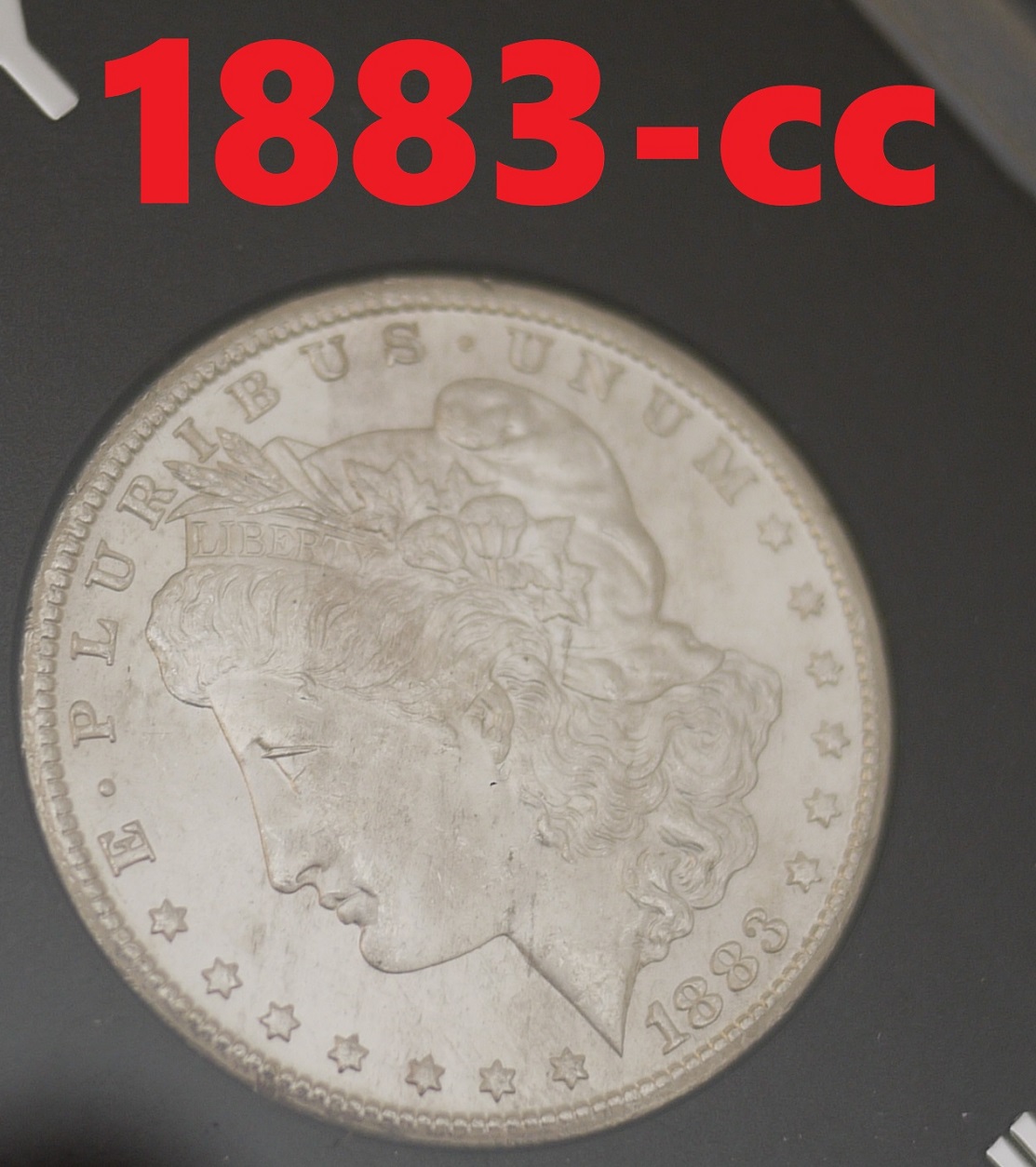 1883-1884-Carson-City-Nixon-Advice-And-Pics