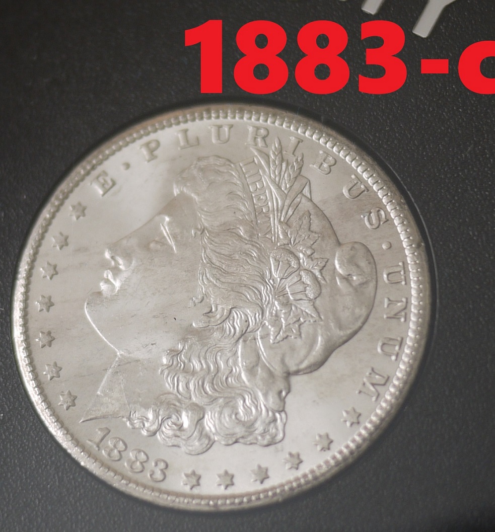 1883-1884-Carson-City-Nixon-Advice-And-Pics
