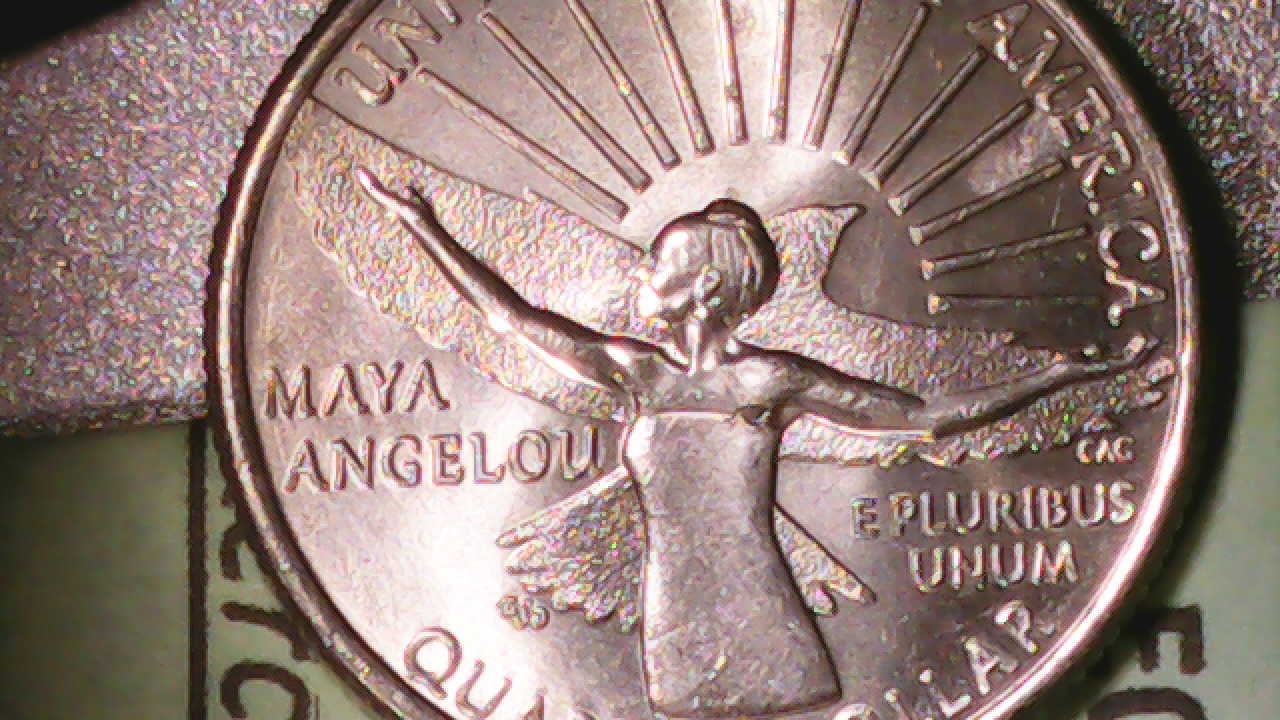 Maya's-Serpent-Broach---2022-Quarter--Die-Or-Feeder-Finger-Gouge?