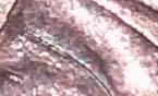 1992-D-LMC-DDO-DDR-?