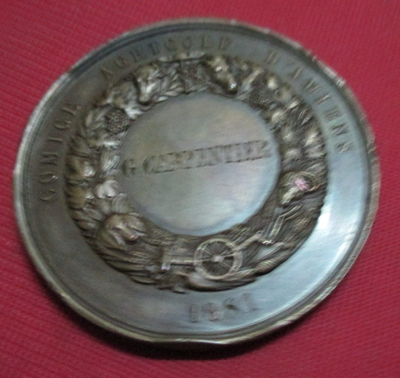 Please-Help-On-Identifying-This-Medal-And-Its-Approximate-Value