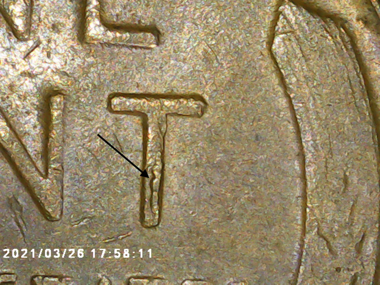 1955-Lincoln-Cent---Die-Crack?-Looks-Like-A-Toupee