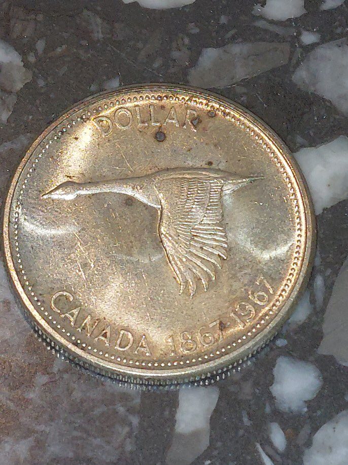 1867-1967-Silver-Dollar-Grading-And-Cleaning?