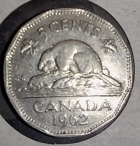 1969-Half-Dollar-USA-Grading
