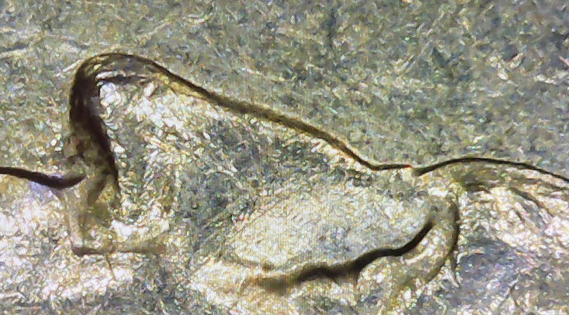1994-D-Quarter.-Possible-DDO.-Extra-Thickness-Of-Letters/Date,-Tip-Of-Nose,-Extra-Eyebrow?