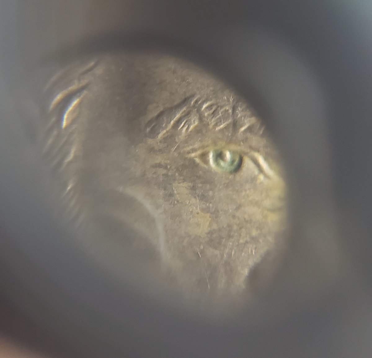 Need-Help---Grant-$1-Presidential-Coin---Different-Eye-Colors