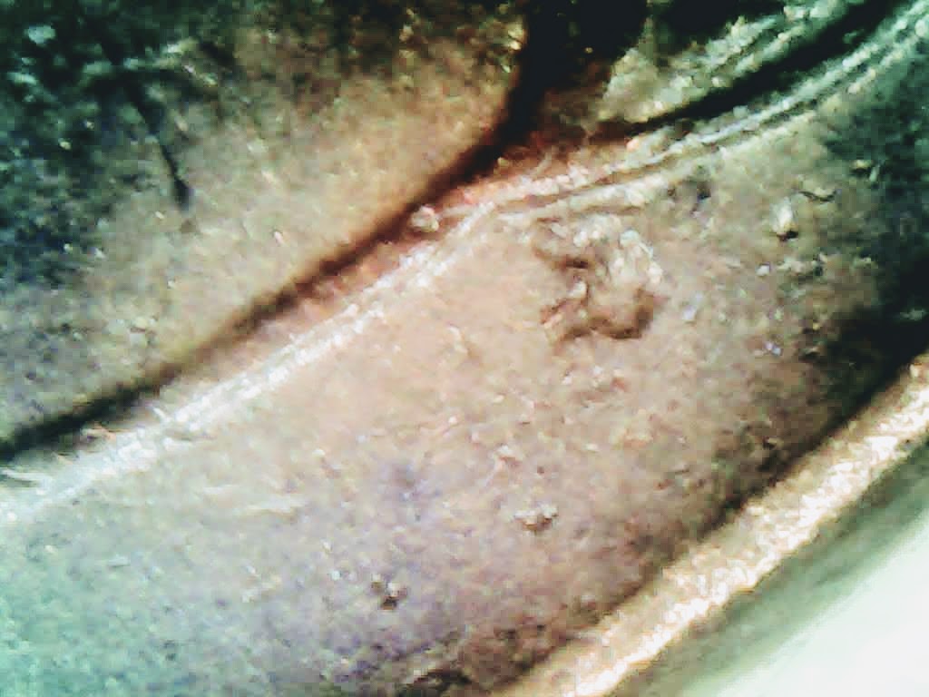 1957-D-Wheat-Penny-Strike-Through?