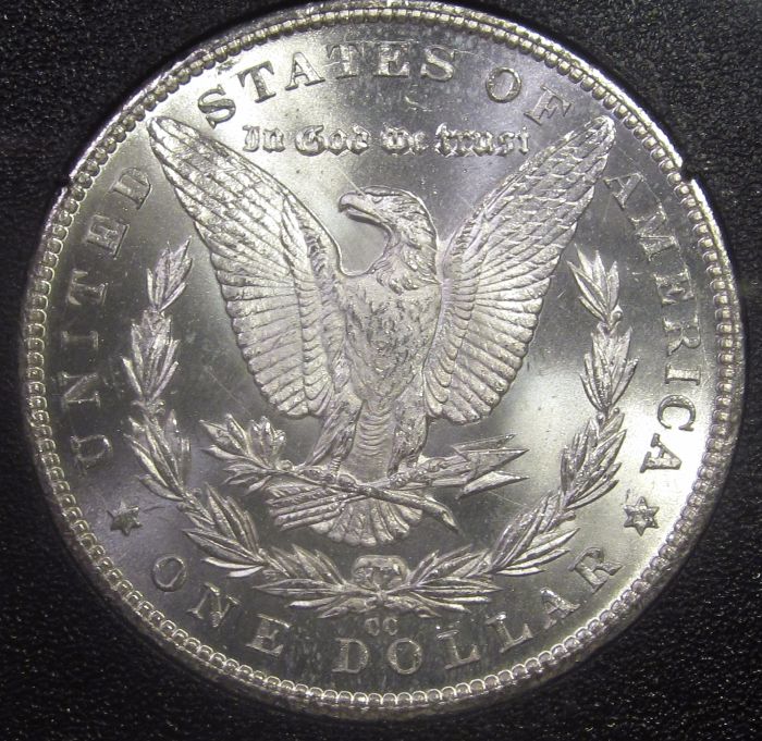 28-Days-Of-The-Morgan-Dollars-Part-5