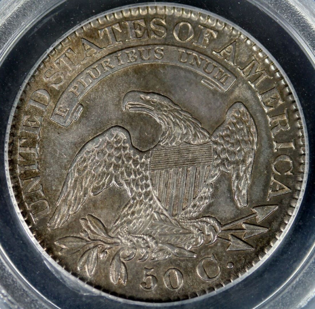 1828-Capped-Bust-Half-Dollar--PCGS-Vs.-You