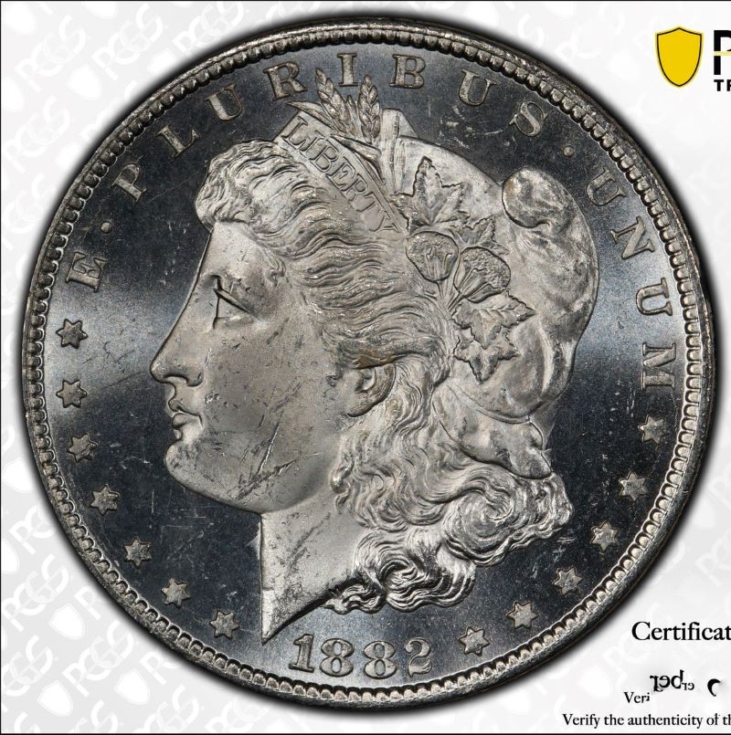 1882-CC-Morgan-Dollar--PCGS-Vs.-You